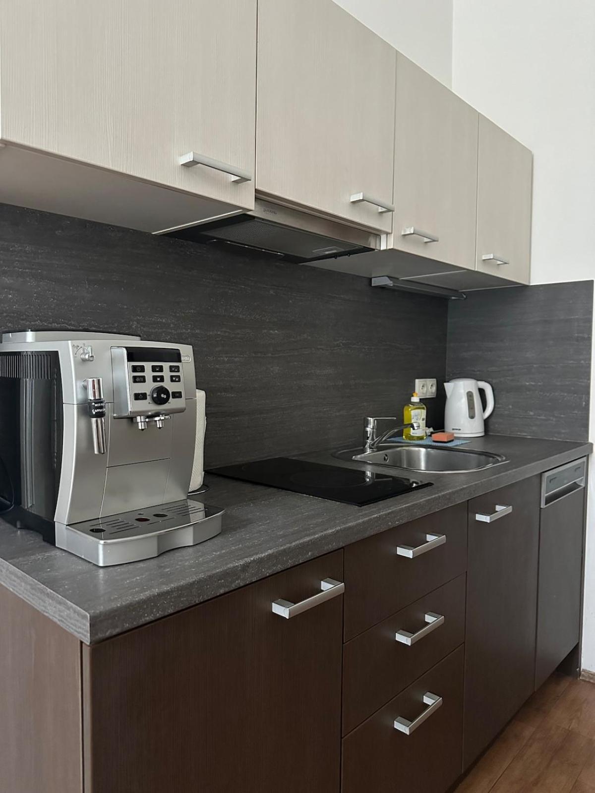 Apartment Chic Retreat On Skorepka Street *